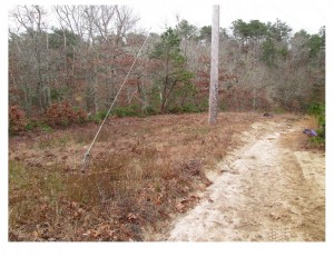 Powerline easement AFTER BCT hand-clearing
