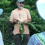 Russ Cohen holding an edible plant