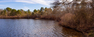 Slough Pond in Brewster in April