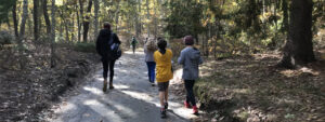 Group of people walking on nature trail
