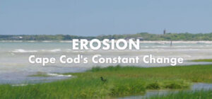 Marsh, tidal flats and background of Cape Cod shoreline