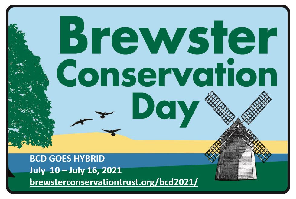 Brewster Conservation Day (week!) 2021