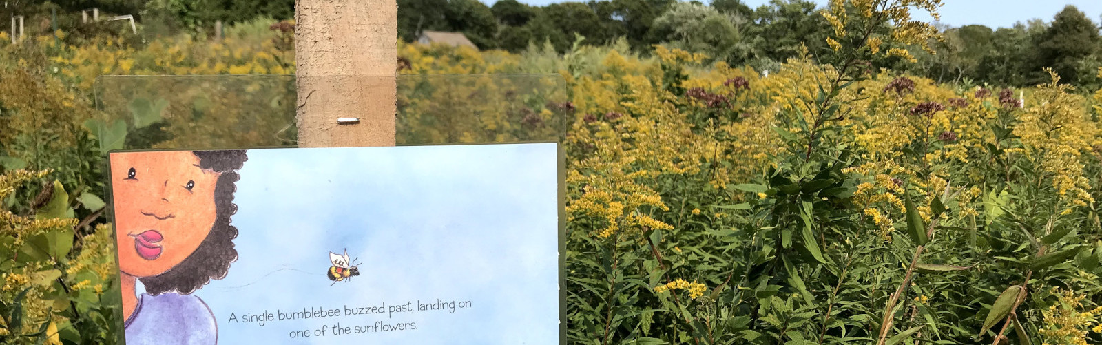 Veggies, Bees, Flowers and Children –A Summer Visit to BCT’s Children Garden