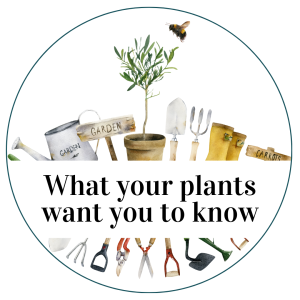 What your plants want you to know (1)