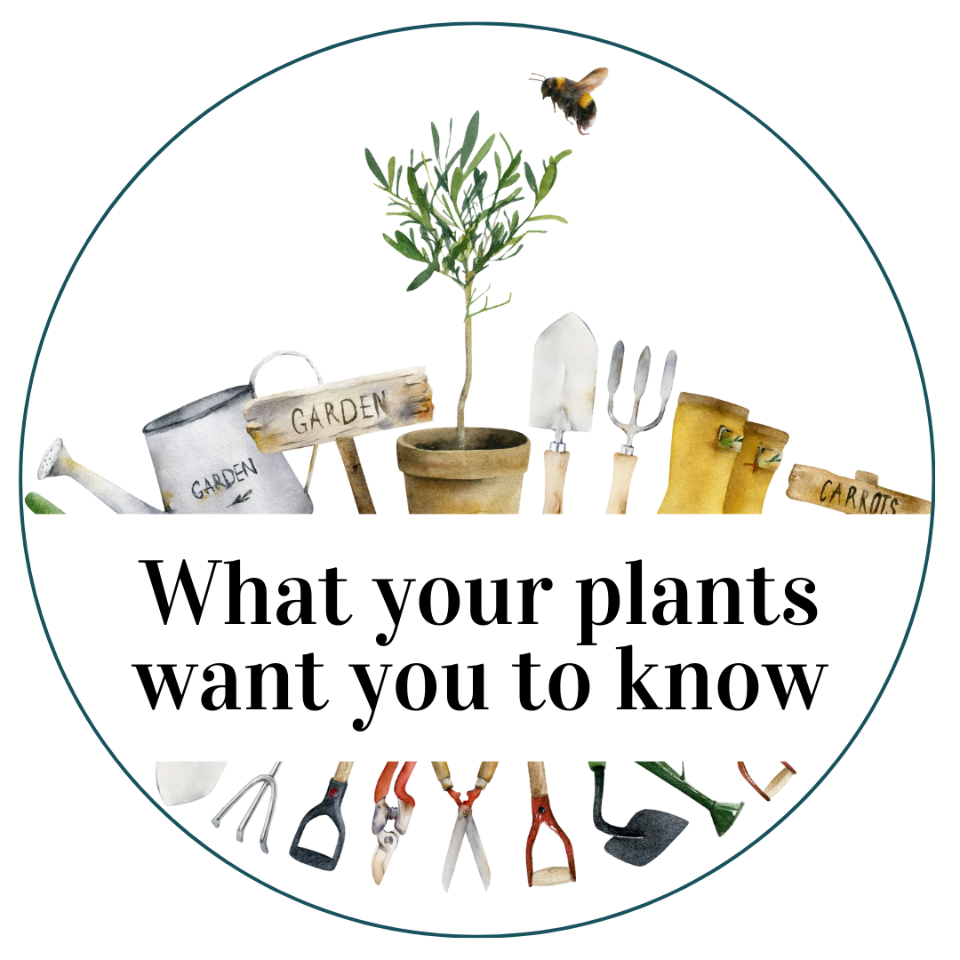 What your plants want you to know (1)