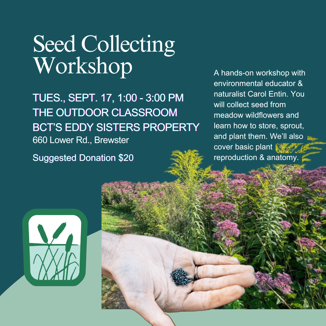 Seed collecting social