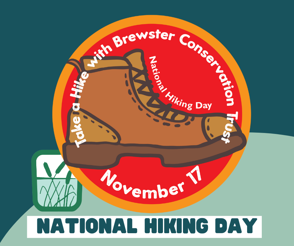 National Hiking Day announcement