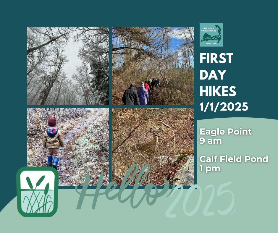 First Day Hikes.FB.website (1)