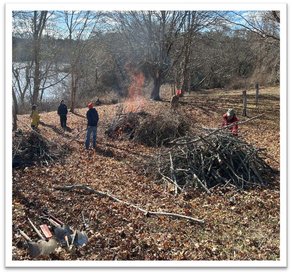 1.brush pile burn