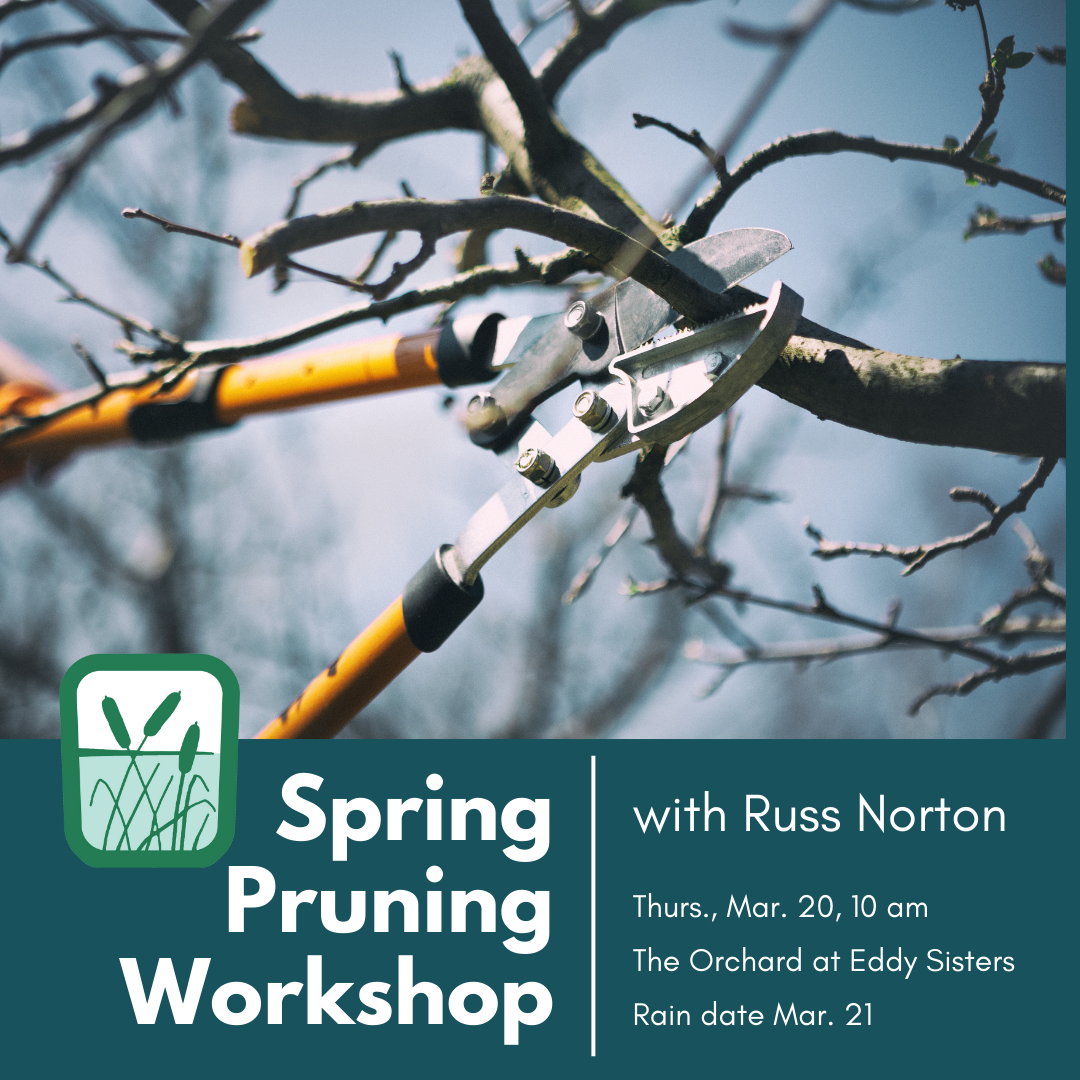 Spring Pruning Workshop graphic