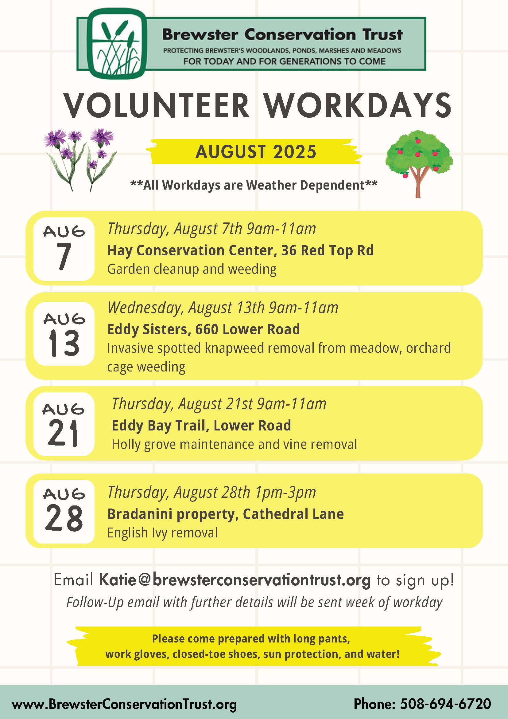 8. August Workday Schedule