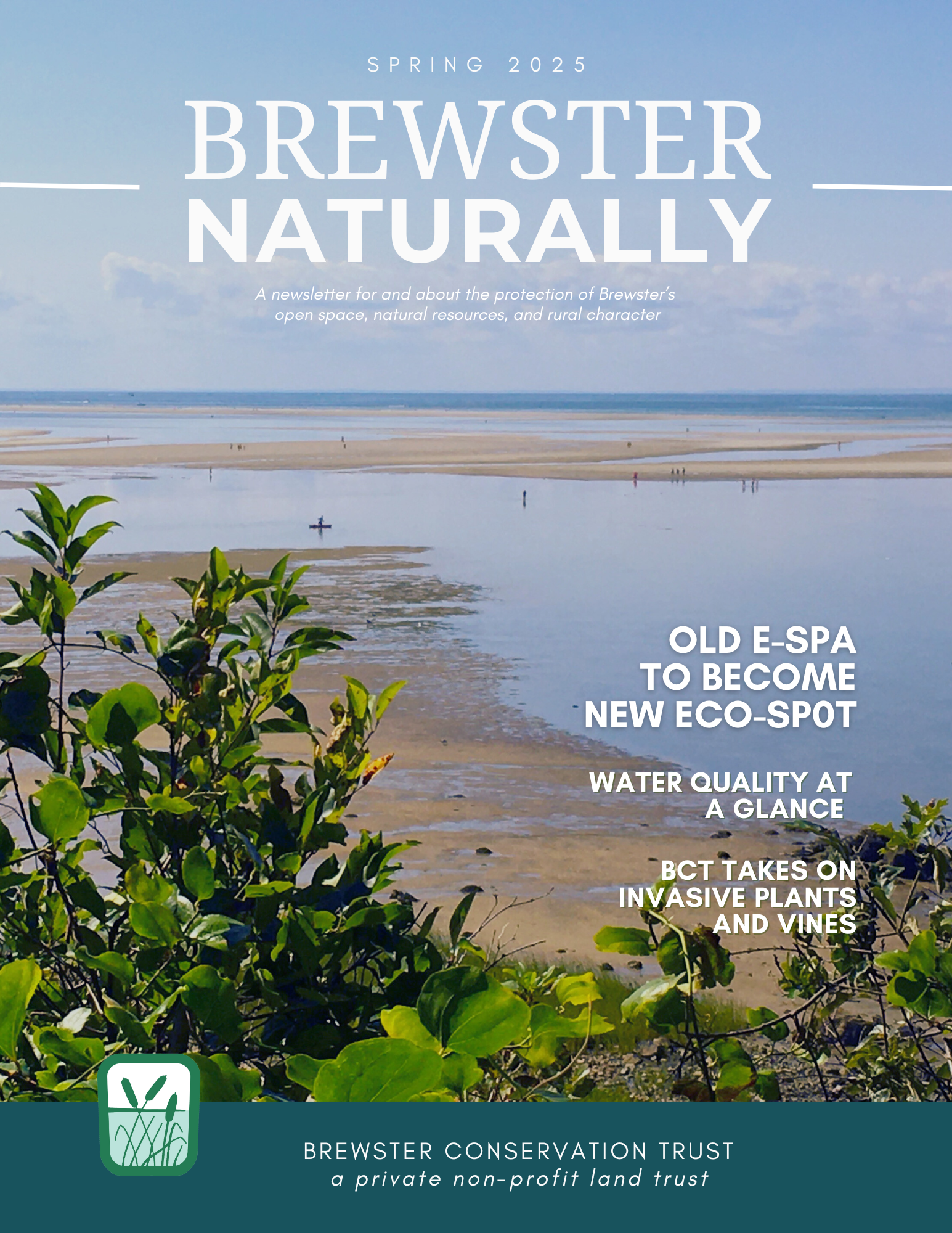 Spring Newsletter