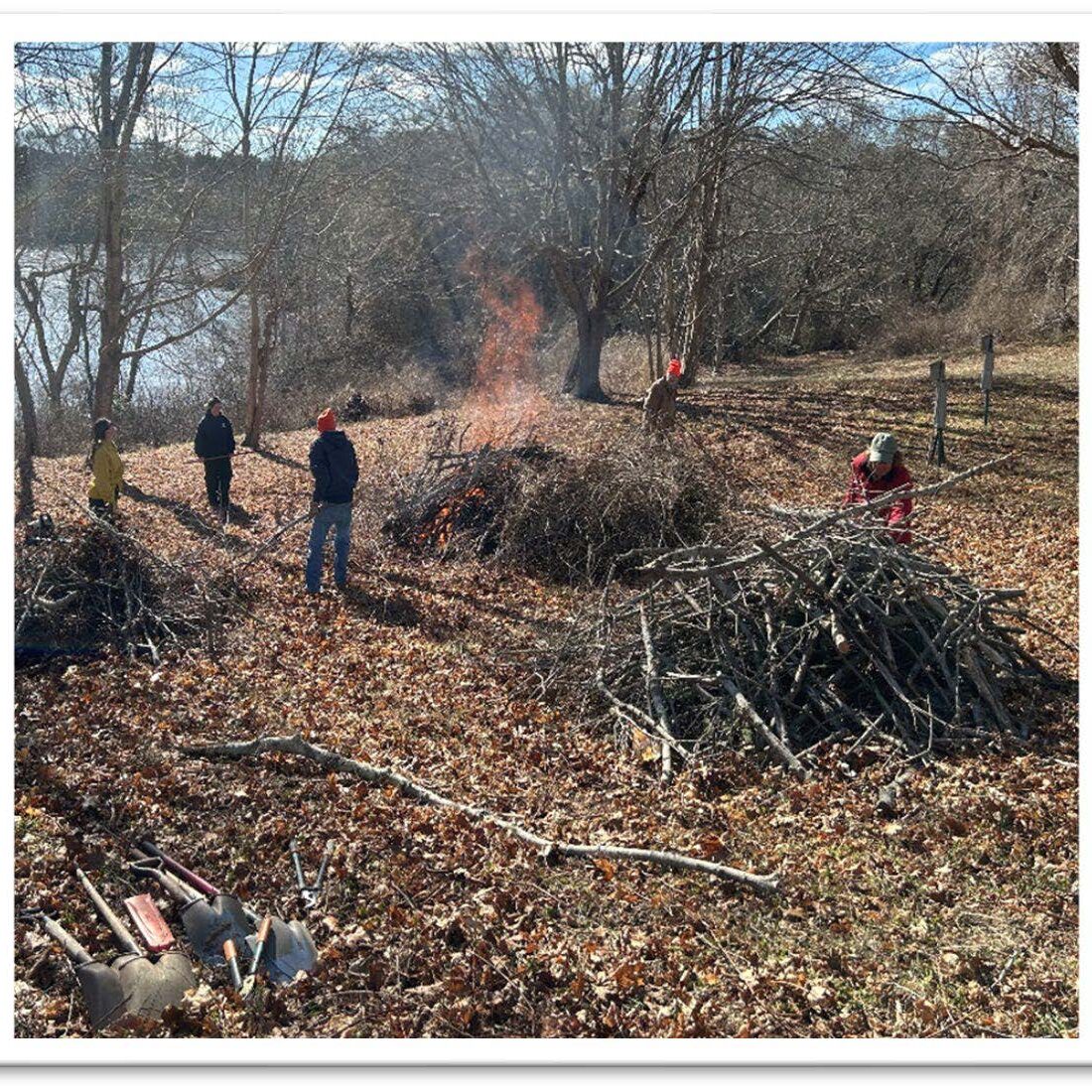 1.brush pile burn