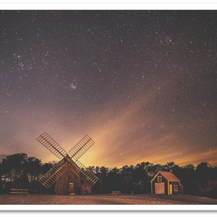 starry meadow